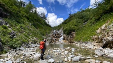 私の年表　世界が美しい理由