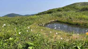 白木峰　2時間ちょっとでワタスゲの天国へ