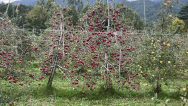 もうすぐ安曇野へ移住