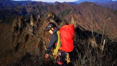 痛みを止めるか、動かすか